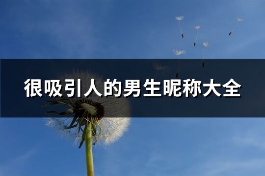 很吸引人的男生昵稱大全(共320個)