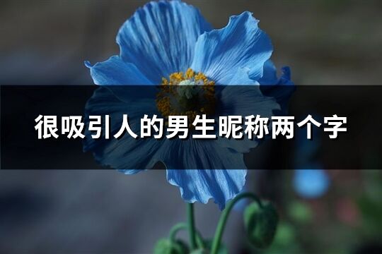 很吸引人的男生昵稱兩個(gè)字(精選360個(gè))