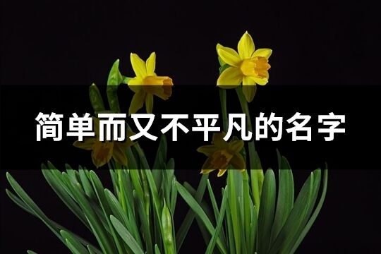 簡單而又不平凡的名字(精選83個)