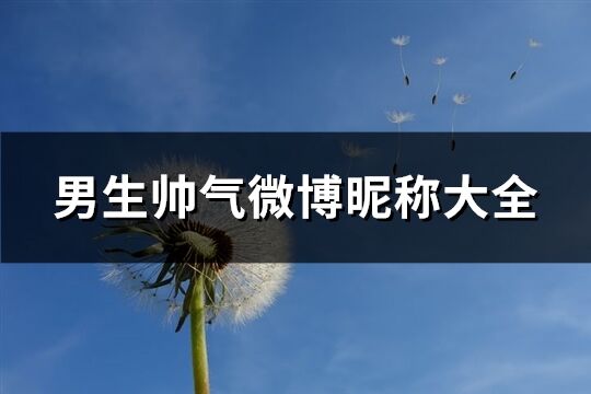 男生帥氣微博昵稱大全(共366個(gè))