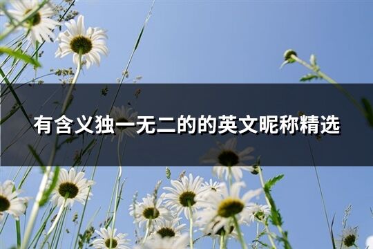 有含義獨(dú)一無二的的英文昵稱精選(共163個)