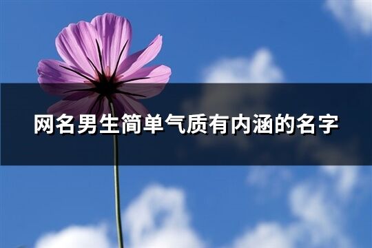 網(wǎng)名男生簡單氣質(zhì)有內(nèi)涵的名字(優(yōu)選374個)