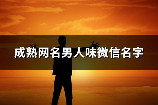 成熟網(wǎng)名男人味微信名字(共859個(gè))