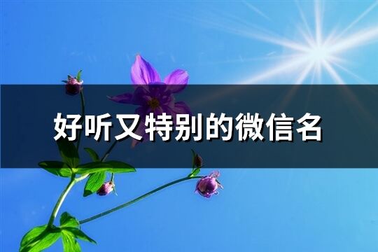 好聽又特別的微信名(優選302個)