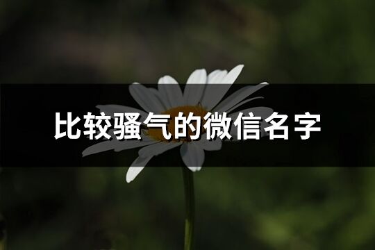 比較騷氣的微信名字(精選323個)