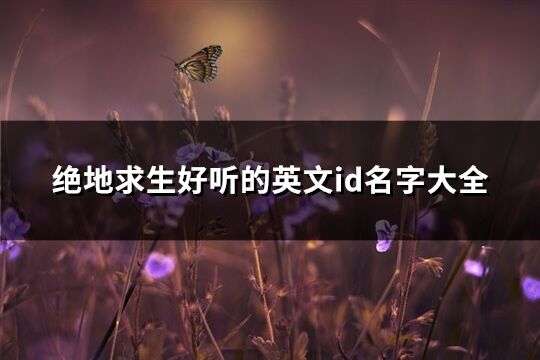 絕地求生好聽的英文id名字大全(優選116個)