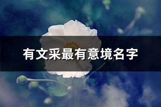 有文采最有意境名字(優(yōu)選325個)