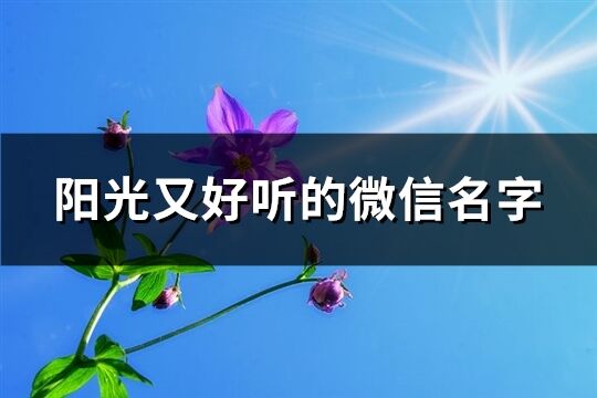 陽光又好聽的微信名字(605個)
