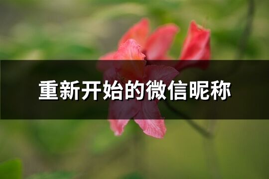 重新開始的微信昵稱(共465個)
