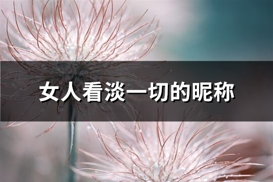 女人看淡一切的昵稱(619個)