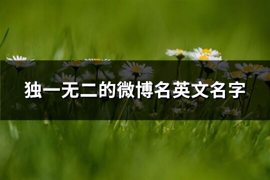 獨一無二的微博名英文名字(87個)