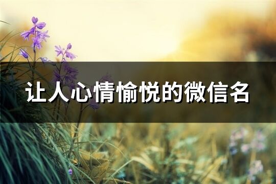 讓人心情愉悅的微信名(精選300個(gè))