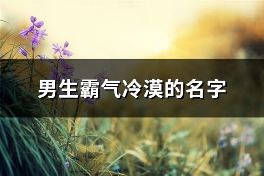 男生霸氣冷漠的名字(553個)