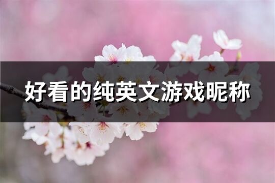 好看的純英文游戲昵稱(chēng)(精選151個(gè))