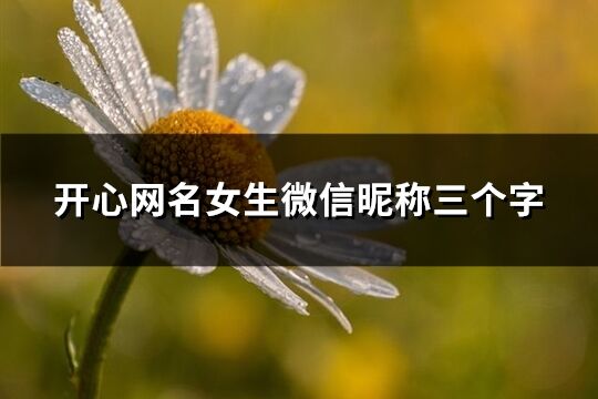 開心網名女生微信昵稱三個字(優選207個)