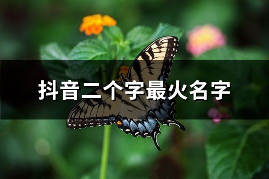 抖音二個字最火名字(精選1187個)