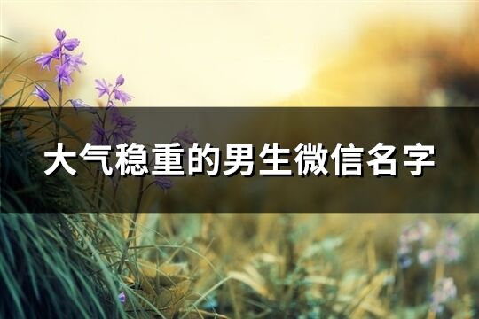 大氣穩(wěn)重的男生微信名字(精選741個(gè))