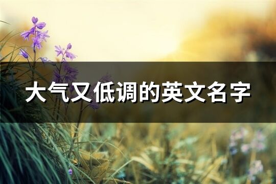大氣又低調(diào)的英文名字(精選90個)