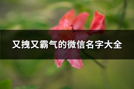 又拽又霸氣的微信名字大全(優(yōu)選261個(gè))