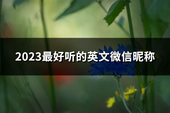 2023最好聽的英文微信昵稱(優選103個)