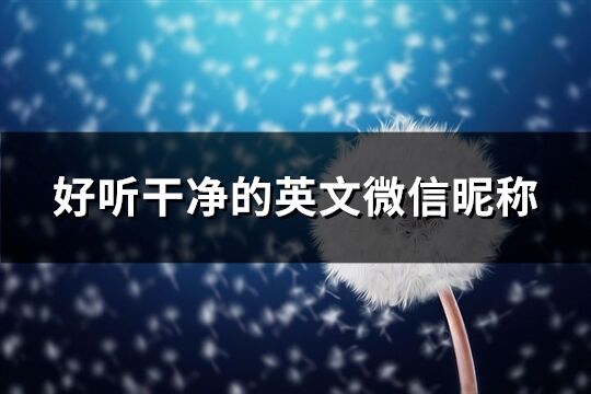 好聽干凈的英文微信昵稱(優(yōu)選231個)