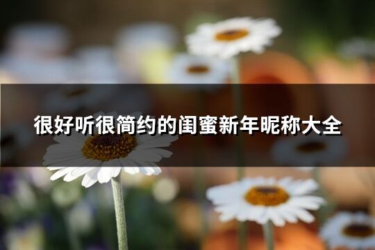 很好聽很簡約的閨蜜新年昵稱大全(精選30個)