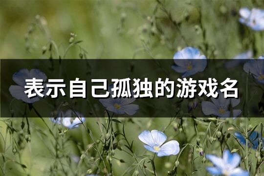 表示自己孤獨的游戲名(優選209個)