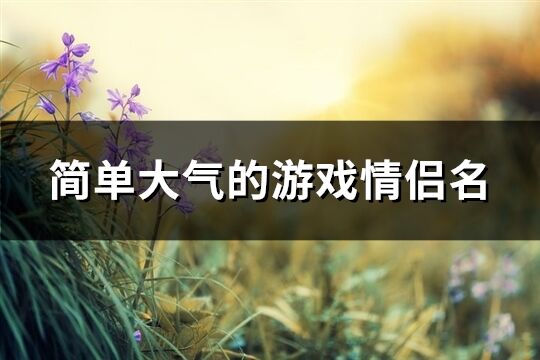 簡單大氣的游戲情侶名(共373個)