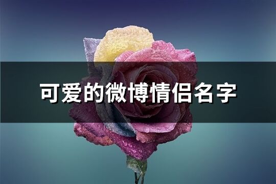 可愛的微博情侶名字(72個)