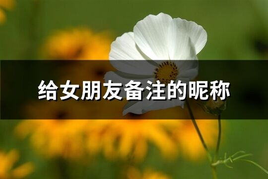 給女朋友備注的昵稱(精選82個)