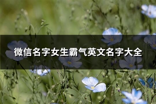 微信名字女生霸氣英文名字大全(優選92個)