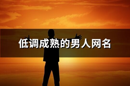 低調成熟的男人網名(1305個)