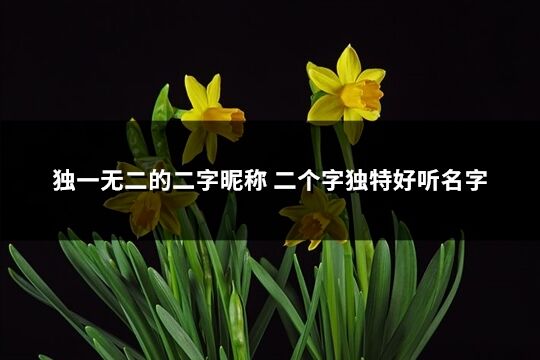 獨(dú)一無二的二字昵稱 二個(gè)字獨(dú)特好聽名字(精選860個(gè))
