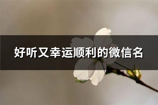好聽又幸運順利的微信名(優選544個)