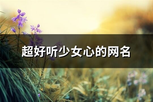 超好聽(tīng)少女心的網(wǎng)名(優(yōu)選548個(gè))