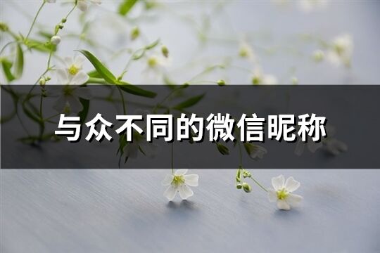 與眾不同的微信昵稱(共338個)