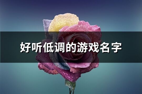 好聽低調的游戲名字(249個)