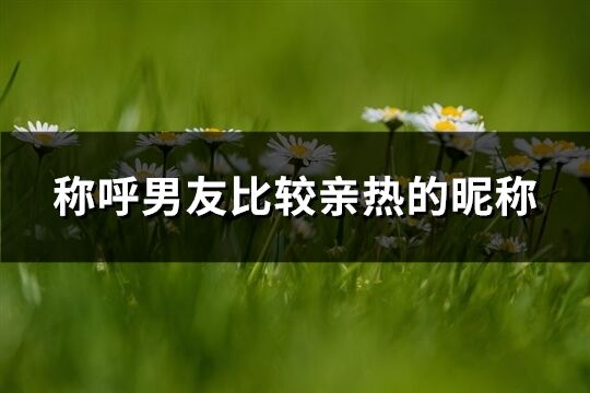 稱(chēng)呼男友比較親熱的昵稱(chēng)(優(yōu)選115個(gè))