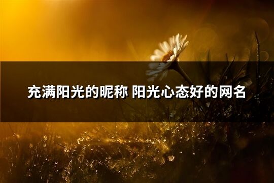 充滿陽光的昵稱 陽光心態好的網名(精選481個)