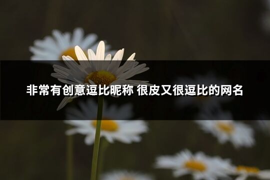 非常有創意逗比昵稱 很皮又很逗比的網名(優選336個)