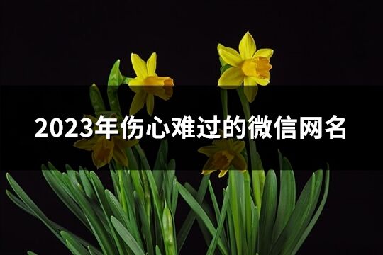 2023年傷心難過的微信網名(共474個)