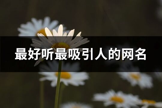 最好聽最吸引人的網名(296個)