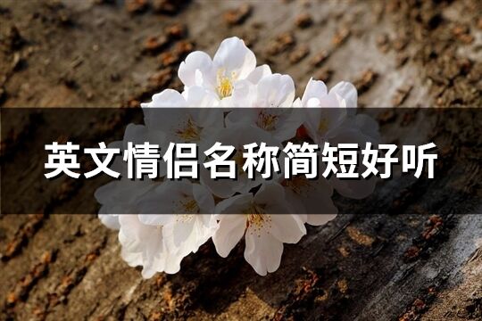 英文情侶名稱簡短好聽(優選84個)