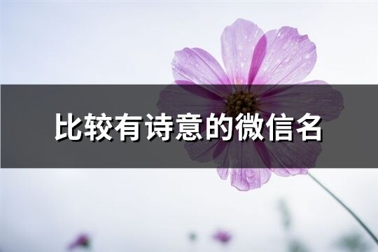 比較有詩意的微信名(共501個)