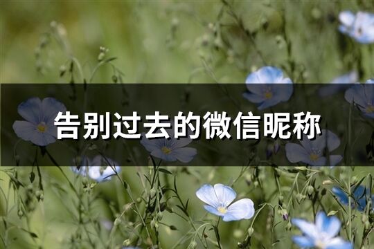 告別過去的微信昵稱(精選139個)