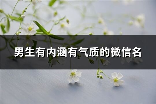 男生有內涵有氣質的微信名(789個)