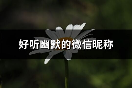 好聽幽默的微信昵稱(精選115個)