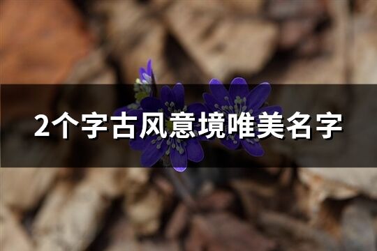 2個字古風意境唯美名字(精選414個)