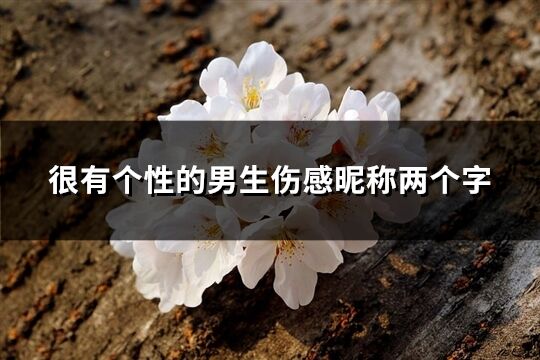 很有個性的男生傷感昵稱兩個字(優選703個)
