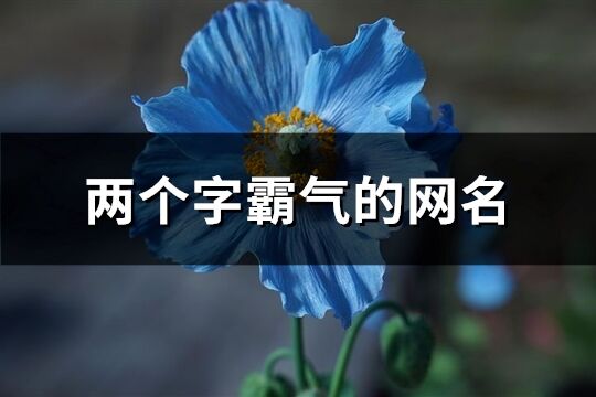 兩個字霸氣的網名(優選911個)